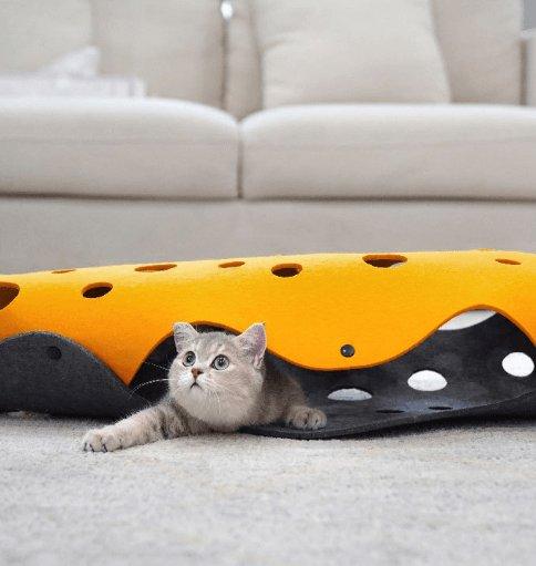 Cheese Cat Adventure Tunnel